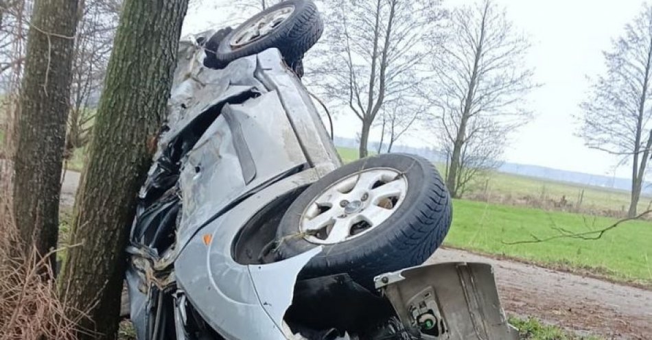 zdjęcie: Jadąc fordem uderzył w drzewo. 60-latek był pijany / fot. KPP Radzyń Podlaski