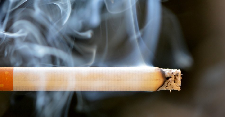 zdjęcie: KAS udaremniła przemyt blisko 20 tys. paczek papierosów wartych ponad 320 tys. zł / pixabay/666937