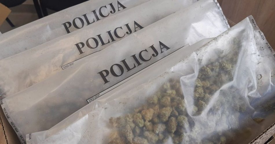 zdjęcie: Kolejne uderzenie w przestępczość narkotykową  - blisko kilogram zabezpieczonej marihuany / fot. KPP w Pułtusku