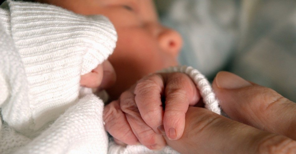 zdjęcie: W Tychach urodziło się pierwsze dziecko z programu in vitro / pixabay/8269275