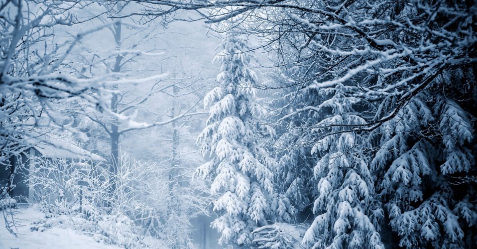 zdjęcie: W najwyższych partiach Beskidów warunki wciąż zimowe; leży tam śnieg / pixabay/4727156