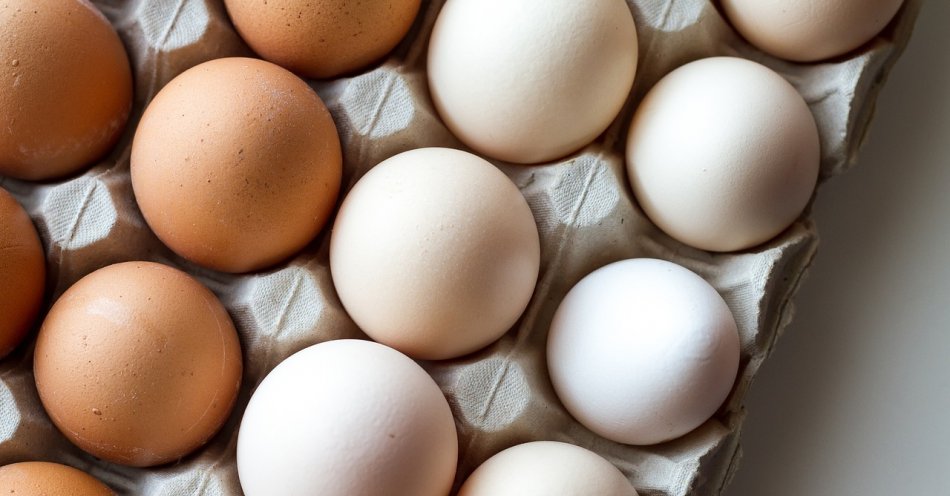 zdjęcie: Osoby zdrowe mogą jeść 12 jaj na tydzień / pixabay/3048118