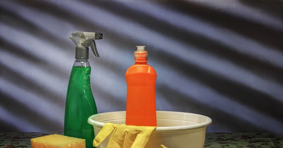 zdjęcie: Nadmierna czystość szkodzi naszej odporności / pixabay/3977589