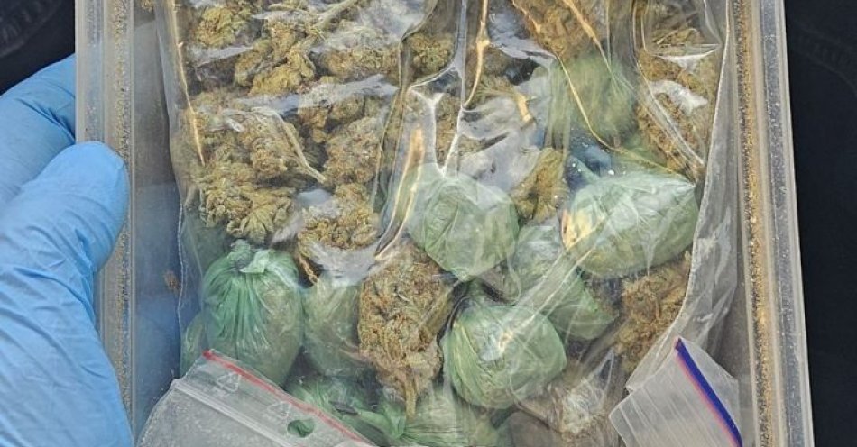 zdjęcie: Świdniccy kryminalni  zabezpieczyli kolejne znaczne ilości narkotyków / fot. KPP w Świdnicy