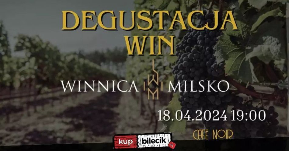 zdjęcie: Degustacja win Winnicy Milsko / kupbilecik24.pl / Degustacja win Winnicy Milsko