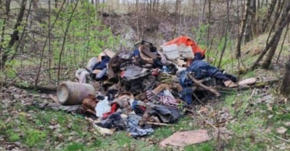 zdjęcie: Za wyrzucanie śmieci do lasu stanie przez sądem. / fot. KPP w Białobrzegach