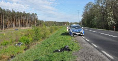 28-letni motocyklista wypadł z drogi. Apelujemy o bezpieczną jazdę!