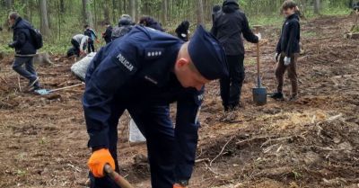Kierownictwo lwóweckiej komendy włączyło się we wspólne sadzenie lasu